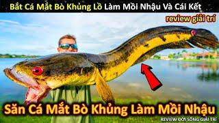 Săn Tìm Cá Lóc Mắt Bò Khổng Lồ Về Làm Mồi Nhậu Và Cái Kết Khó Tin  Review Giải Trí Đời Sống