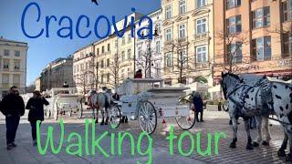 Walk to Krakow St. Marys Basilica Sukiennice Market and Town Hall Tower Wawel Castle & Cathedral