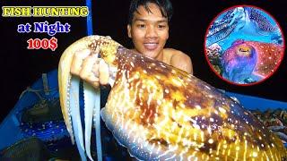 Phát Hiện Ổ Mực Nang Khổng Lồ Bắt Mỏi Tay  Scuba diving to catch giant squid