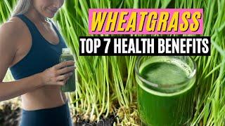 Wheatgrass- Top 7 Health Benefits of this Superfood Wheatgrass Juice Benefits