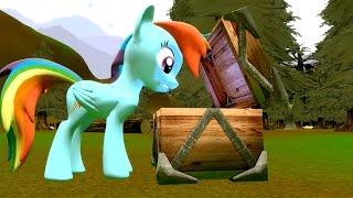 Cursed Pony Magic Rainbow Dash