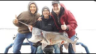 Catching Eight Paddlefish with 62lb beast - Snagging for Paddlefish  Spoonbill in Oklahoma