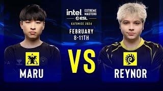 Maru vs. Reynor - IEM SC2 Katowice 2024 - Group Stage