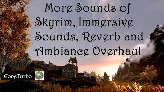 Sounds of Skyrim Immersive Sounds Reverb and Ambiance Overhaul
