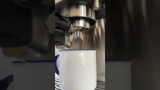 Espresso Extraction #coffee #espressobar #shorts