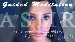 Using sounds as the object of your awareness - Guided Meditation with Shibby