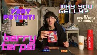 Why You Gelly? by Peninsula Gardens