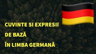 Cuvinte și fraze in limba germană pentru începători. Studiați limba germană fără efort.