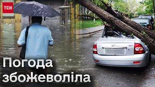 ️ Негода в Києві повалила дерева затопила вулиці А шість регіонів лишила без світла