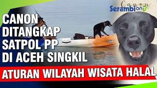 Kisah Anjing Bernama Canon yang Ditangkap Satpol PP di Aceh Singkil