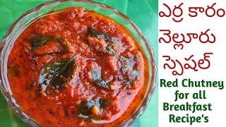 ఎర్రకారం  Erra Karam  Nellore Special Erra Karam in telugu  Red Chutney for Breakfast Recipes 