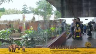 JAWA TIMUR PARK 2 MUSEUM SATWA & BATU SECRET ZOO HD PROFILE