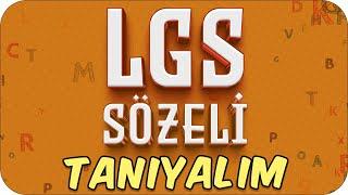 LGS Sözeli Tanıyalım  Hangi Konular Daha Önemli #LGS2025