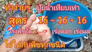 ง่ายเกินคาด 7 วันเห็นผลปุ๋ยน้ำทำเองเทียบเท่าสูตร 16-16-16 เร่งพืชโตเร็วเร่งดอกเร่งผล สาคู Channel