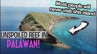 Palawans MOST BEAUTIFUL Secret Island 4K  ARACELI Boat Tour