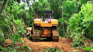 So Surprising D6R XL Bulldozer Crushed By Tree While Building New Road