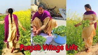 Punjab Village LifeSaag recipe  Saro da SaagSarso Saag recipeIndian rural life of Punjab