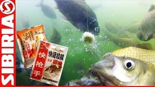 Обзор китайского теста херабуна для ловли карася толстолобика белой рыбы . СКОРО