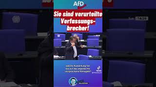 Sie sind #rechtskräftig #verurteilte #Verfassungsbrecher #afd #stephanbrandner #politik #fyi