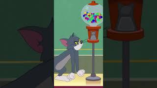 Niente gomma da masticare per Tom #tomejerry #boomerang #shorts