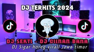 DJ SIGAR HOREG VIRALL - DJ SEKTI DJ CIINAN BANA FULL BASS