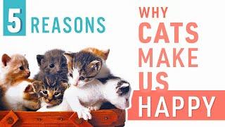 5 Reasons Why Cats Make Us Happy  Why People Prefer Cats