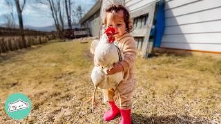 Chickens Think This Baby Is Their Chick  Cuddle Buddies