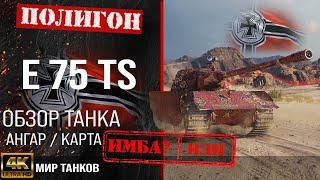 Обзор E 75 TS гайд тяжелый танк Германии  оборудование Е 75 ТС  бронирование e 75 ts перки