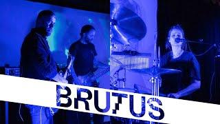 Brutus — A Forest The Cure cover  StuBru LIVE LIVE  Studio Brussel