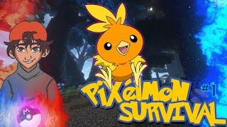 YENİ SERİ SENİ SEÇTİM TORCHIC #1 Pixelmon Survival 1.16.5