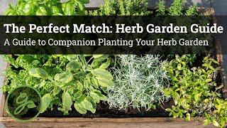 The Perfect Match Herb Garden Guide - A Guide to Companion Planting Your Herb Garden