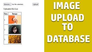 Image upload to database using php mysql  upload image to server