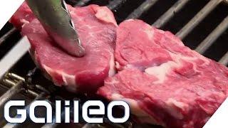 Digitaler Holzkohlegrill  Galileo  ProSieben