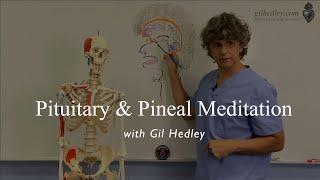 Pituitary & Pineal Gland An Anatomical Meditation with Gil Hedley