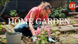 Home Garden in Greater Tokyo 🪴 Life in Japan EP 262