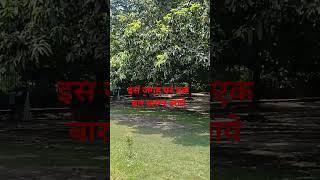 इस जगह पर एक बार जरूर आये। #shortvideo #sushantsharma #reels #trending #travel #viral