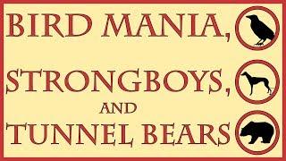 Bird Mania Strongboys and Tunnel Bears