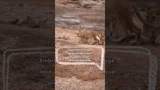 Be a strong leader like a lion World Motivation-Story WA-#shorts #story #motivation