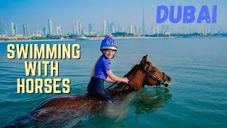 THIS WAS EPIC HORSE RIDING AND SWIMMING IN THE SEA ON AN ARABIAN HORSE IN DUBAI