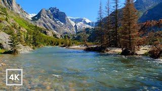 4K Gentle Mountain River in Montana Backcountry  Water Sounds White Noise  Sleep and Relaxation