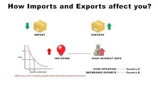 How Imports and Exports Affect You  Economics