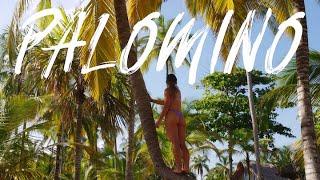 Exploring Colombias Secret Wonderland - PALOMINO Travel Guide