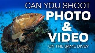 Can you shoot Underwater Photo & Video on the same dive?