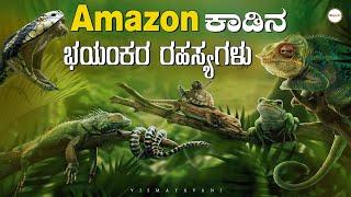 Amazon Forest  ಅತ್ಯಂತ ಭಯಂಕರ ಪ್ರಾಣಿಗಳ ಸ್ವರ್ಗ  Secrets of Amazon  Unknown Facts  #VismayaVani