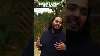 #Exclusive  Inside Vantaras Elephant Jacuzzi Anant Ambani Reveals Joy of Elephants in Warm Waters