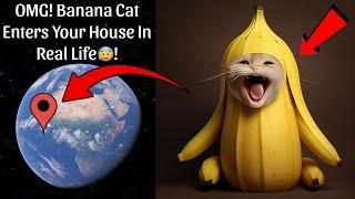 I Found Banana Cat In Your House In Real Life On Google Earth And Google Maps 