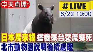 【中天直播#LIVE】日本馬來貘搭機來台交流猝死 北市動物園說明後續處理 20240622 @中天新聞CtiNews