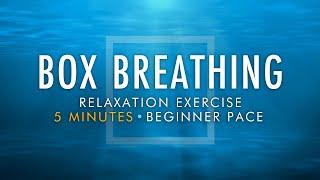 Box Breathing Relaxation Exercise  5 Minutes Beginner Pace  Anxiety Reduction Pranayama Technique