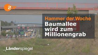 Baumallee wird zum Millionengrab  Hammer der Woche vom 26.08.23  ZDF
