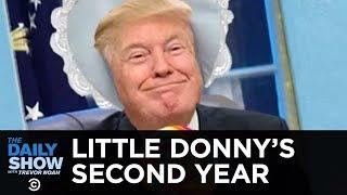 Little Donnys Second Year  The Daily Show